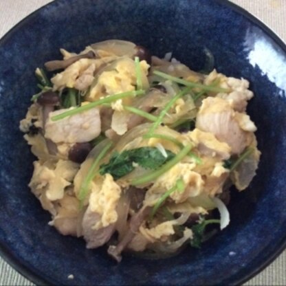 麺つゆに少し味を足す方法で、簡単に美味しくできました。小松菜の代わりに三つ葉を入れてみました。
